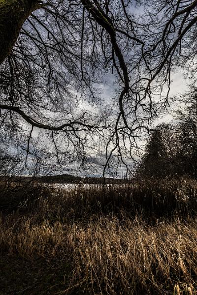 2019_12_21_Lac des Settons (0006).jpg - Au lac des Settons (Décembre 2019)